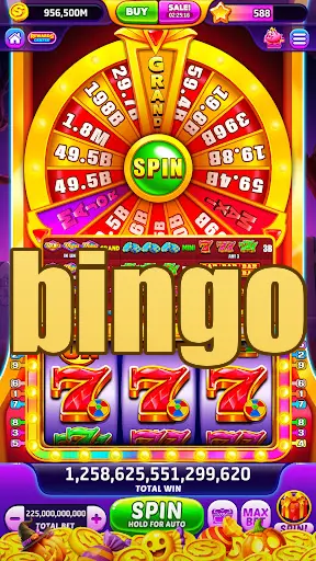 bingo APK