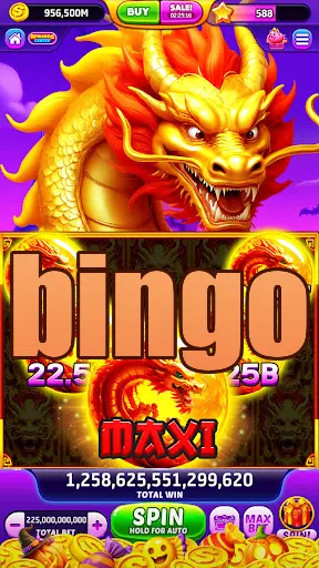 bingo Tangkapan Layar Resmi APK